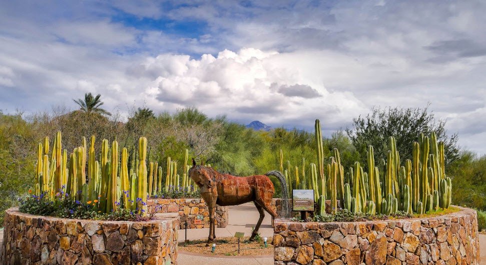 Tohono Chul Park, United States